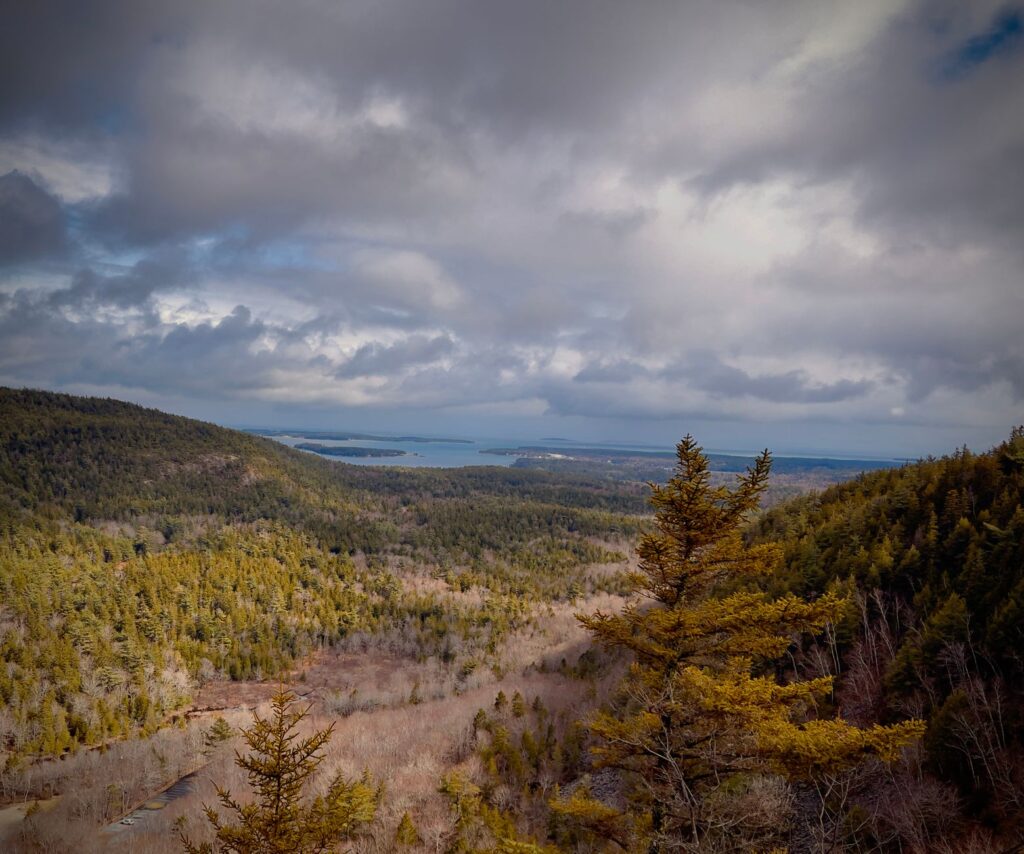 El renacimiento del turismo al aire libre: El modelo sostenible de Wolfe’s Neck en la costa de Maine