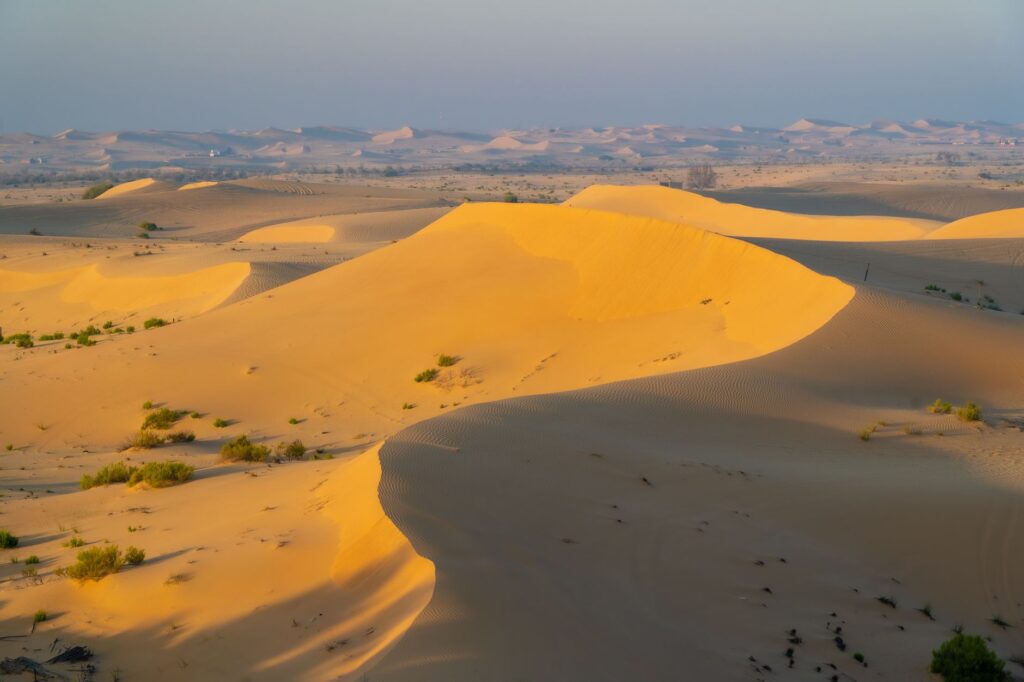 El laberinto intermodal del desierto de Rub al-Jali: Camiones cisterna de alta presión, pistas de dunas y la frágil conectividad de los oasis de Liwa