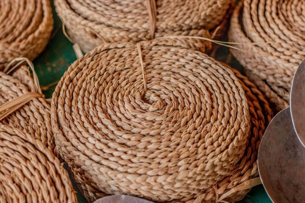 El Renacimiento de la Cestería de Médula: Mimbre, Curva y Memoria en los Valles de la Provenza