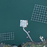 El Santuario Submarino del Mar de Salish: Oceanografía, Corrientes Mareales y Conservación en el Pacífico Noroeste