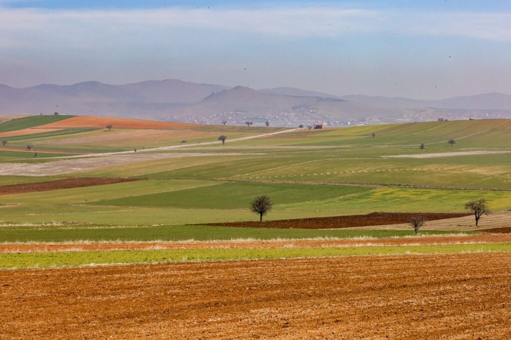 Salamanca traza su futuro europeo: estrategia y patrimonio en el horizonte de 2026
