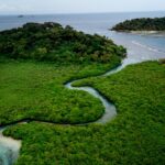El latido meridional del archipiélago de las Bisagos: Canales de bajamar, piraguas de tronco y la conectividad insular de Guinea-Bisáu