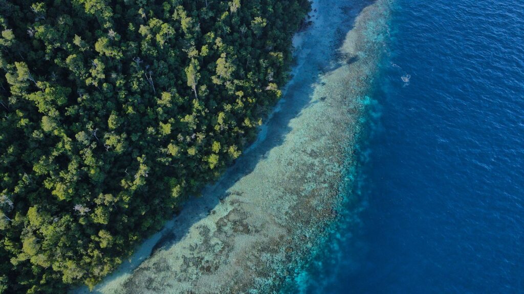 El refugio del tiburón ballena en la Bahía de Cenderawasih: oceanografía, afloramientos y conservación en Papúa Occidental