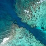 El pulso submarino de la isla de Socotra: corales endémicos, afloramientos y conservación en el mar Arábigo