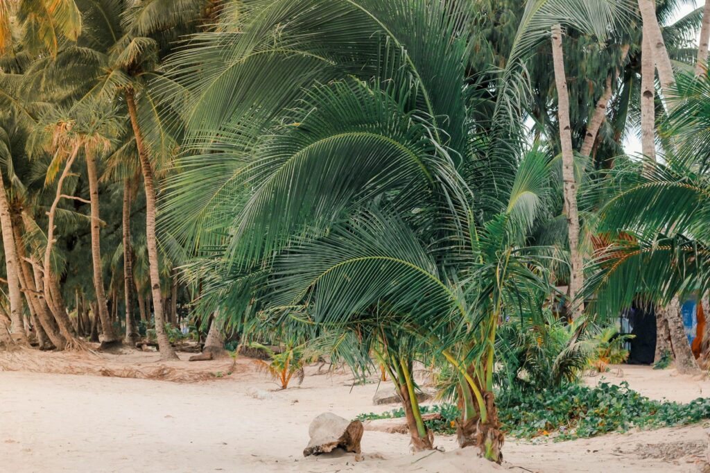 El nuevo tesoro de Boracay: La reinvención de la ensaimada como icono cultural