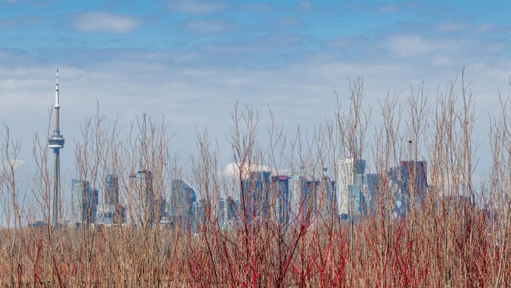 Más allá del horizonte urbano: escapadas esenciales desde Toronto para 2026