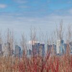 Más allá del horizonte urbano: escapadas esenciales desde Toronto para 2026