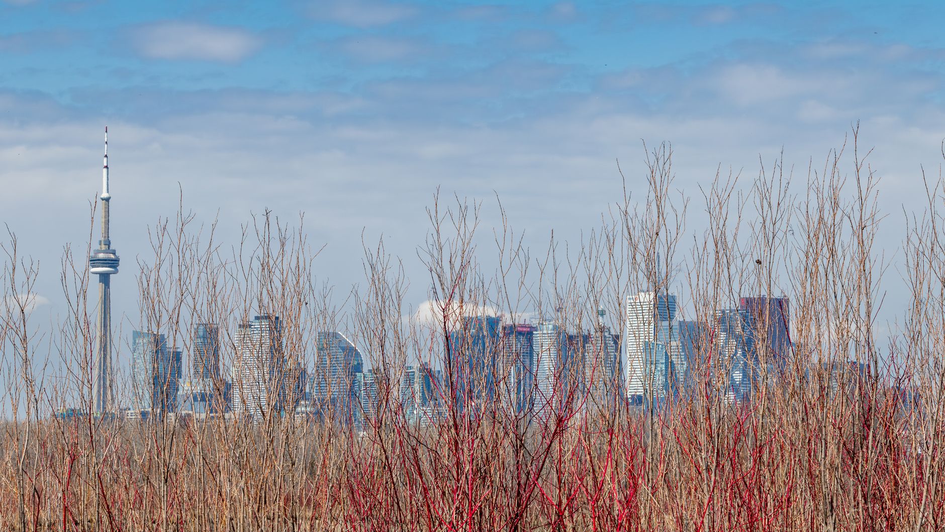 Más allá del horizonte urbano: escapadas esenciales desde Toronto para 2026