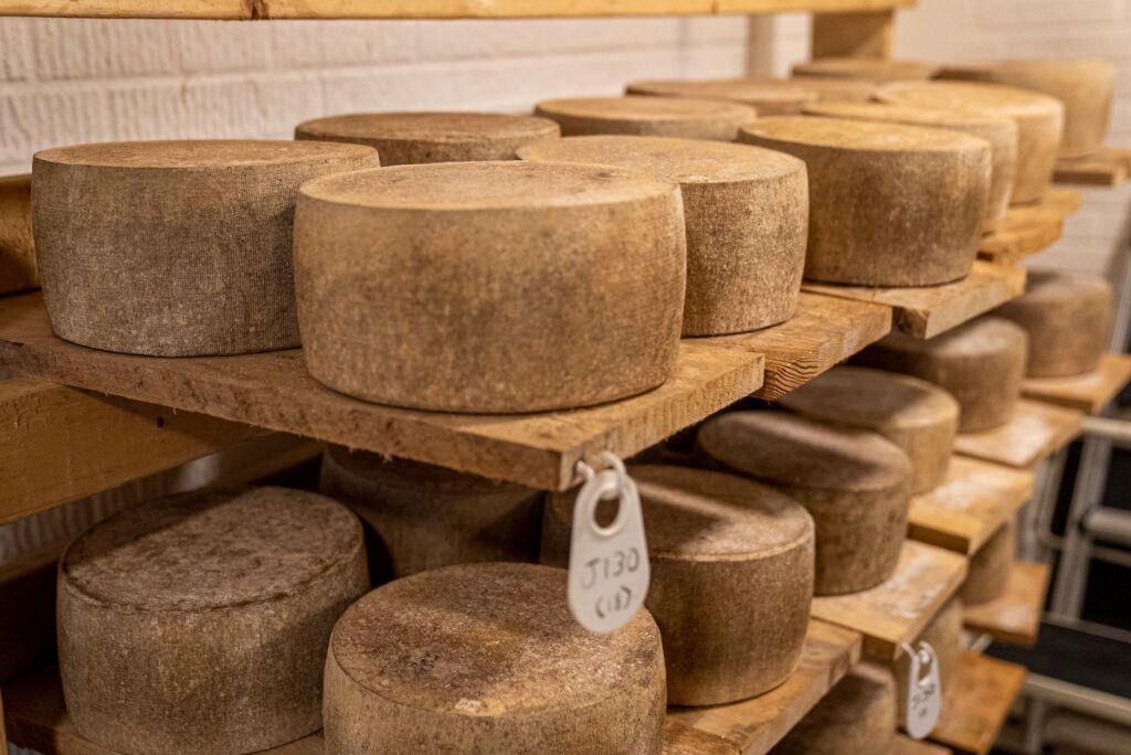 El secreto de la roca y la brisa: la liturgia del queso de Valdeón y los pastos de Picos de Europa