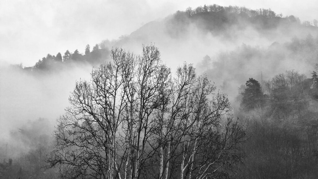 El latido de la cestería de castaño: costilla, duela y memoria en los obradores de Asturias