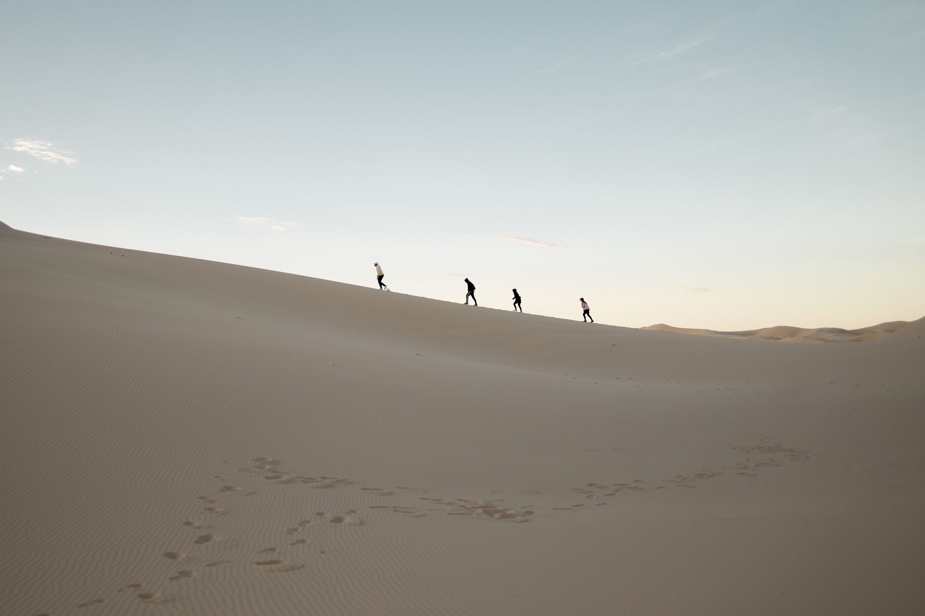 El latido transcontinental del Indian Pacific: Ingeniería de desierto y logística oceánica en la gran travesía australiana