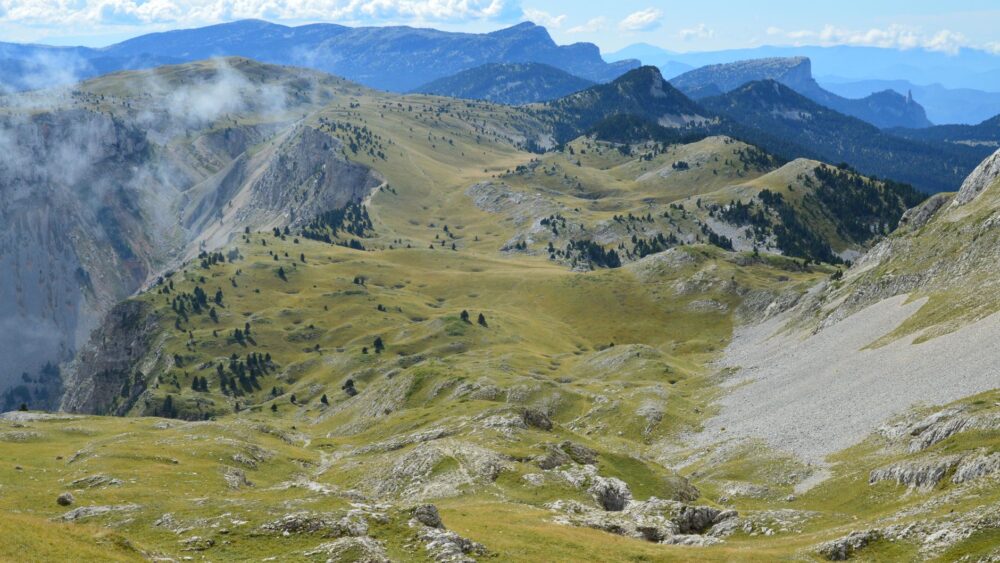 El refugio de la marmota alpina en el Parque Nacional de los Ecrins: biología, madrigueras y conservación en los Altos Alpes