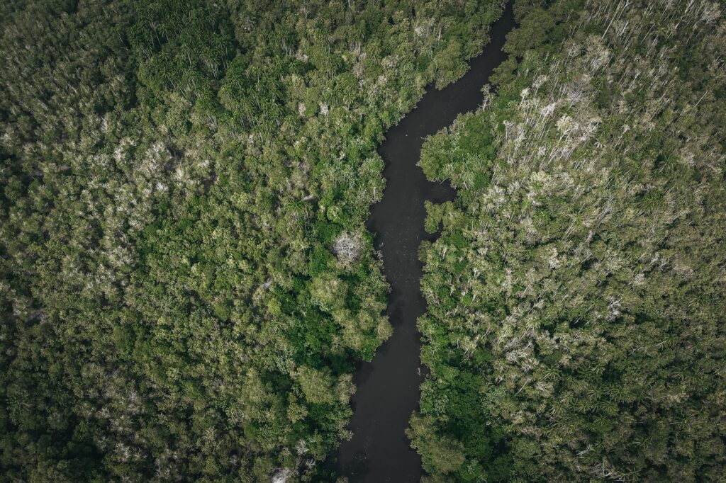 La Travesía del Archipiélago de las Guainas en Canoa Tradicional: Guía de Expedición y Navegación Fluvial por las Aguas Negras del Orinoco y el Casiquiare