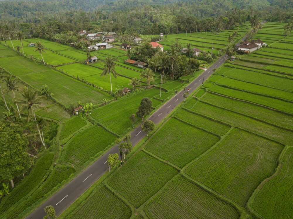 El laberinto de los arrozales en terraza: cómo la movilidad eléctrica rural y los caminos ancestrales transforman el transporte en Bali