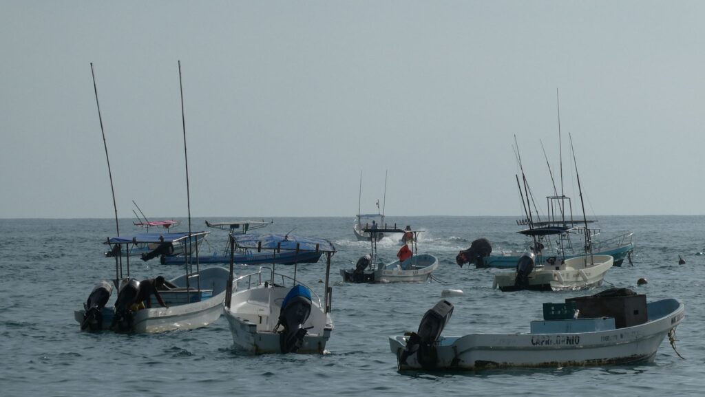 Navegación en el Mar de Cortés: La travesía en kayak de mar entre Isla Espíritu Santo y Loreto