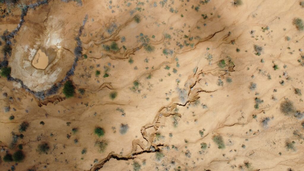 El latido de los matorrales semiáridos: cómo la recuperación de suelos yesíferos y la apicultura de secano transforman la conservación en el Parque Natural de las Bardenas Reales