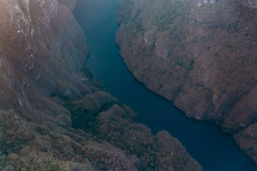 El Refugio del Alimoche en los Cañones del Ebro: Biología, Termicas y Conservación en el Páramo de la Lora