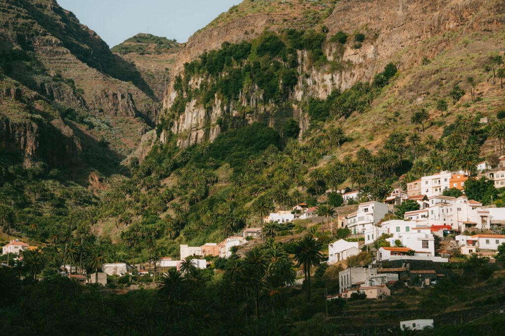 El latido de las islas volcánicas: cómo la recuperación de la laurisilva y la agricultura regenerativa transforman la conservación en la Gomera