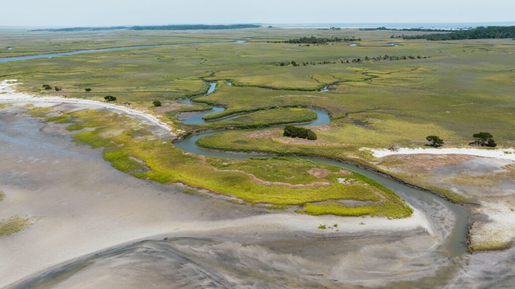 El latido de las estepas salinas: cómo la bioingeniería y la custodia ganadera transforman la conservación en los Monegros