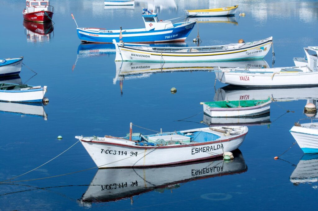 El secreto de la espuma y el Atlántico: la liturgia del percebe y la pesca extrema en las rompientes de la Costa da Morte