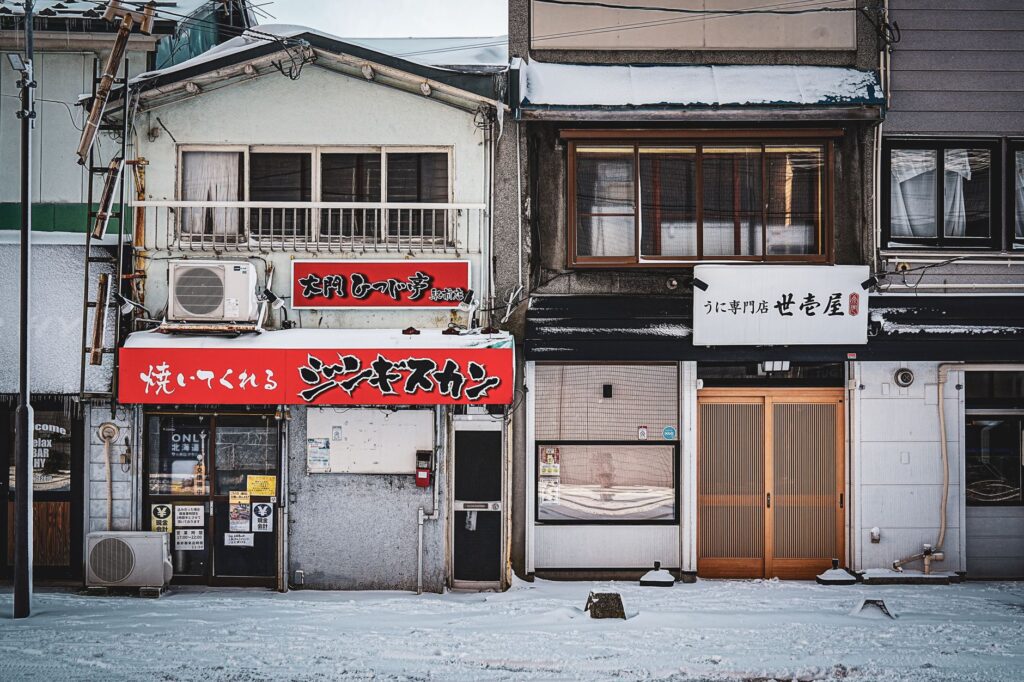 La Ruta del Expreso de Hokkaido: Ingeniería de Alta Velocidad, Túneles Submarinos y el Despertar Invernal del Norte de Japón