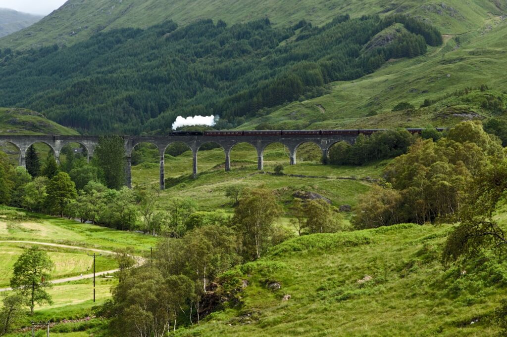 El latido secreto del expreso de Burdeos: ingeniería ferroviaria y el pulso vitivinícola de Aquitania