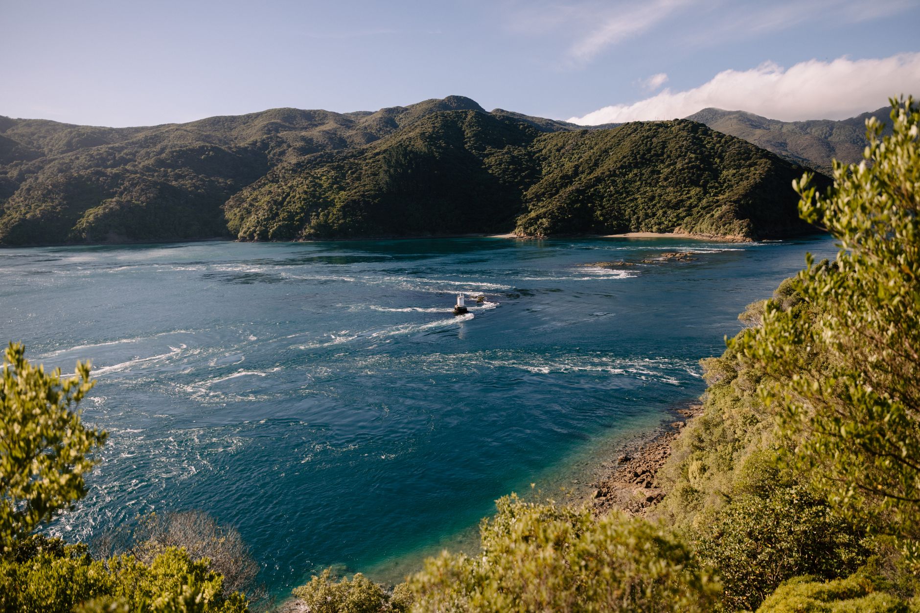 La Carretera Marítima del Estrecho de Cook: Ingeniería, Logística y Conectividad entre las Islas de Nueva Zelanda