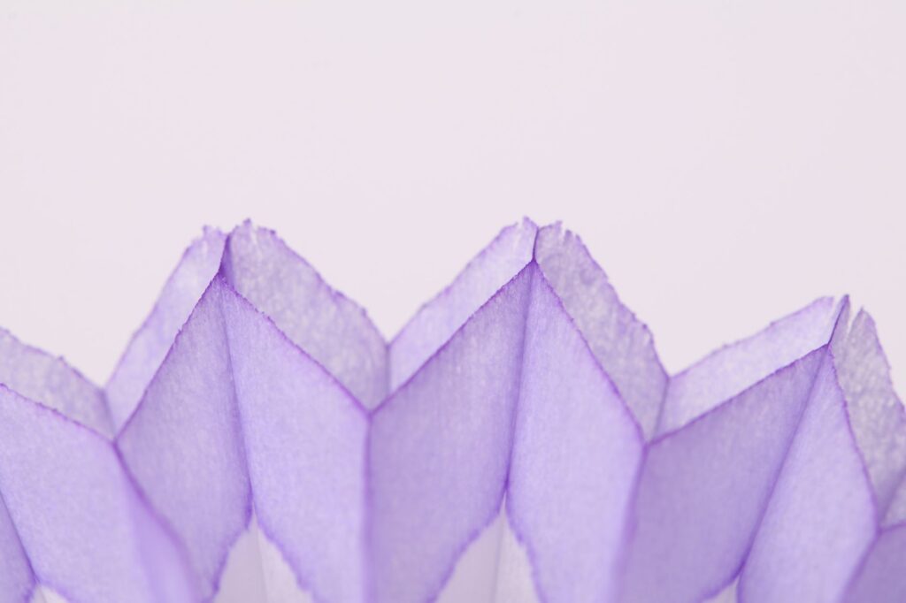 El Renacimiento del Papel Hecho a Mano: Fibra, Agua y Diseño en los Moldes de Capellades