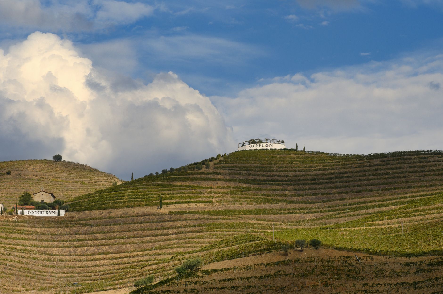 El secreto de la uva pisada: la liturgia del vino de Oporto y las terrazas de esquisto en el Alto Douro