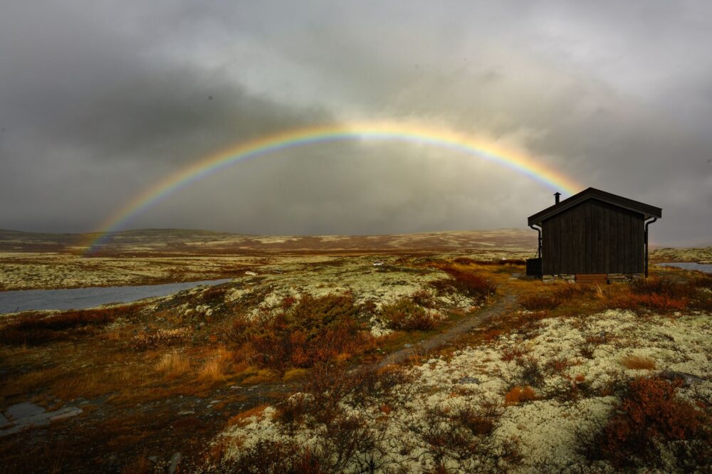 El Refugio del Búho Nival en la Tundra de Laponia: Biología, Clima y Ecoturismo en el Círculo Polar Ártico