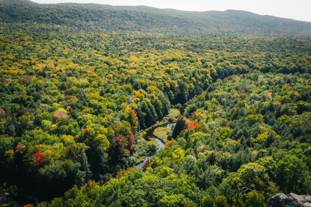 Por qué debes visitar Maine en otoño: una travesía entre langostas, faros históricos y follaje colorido