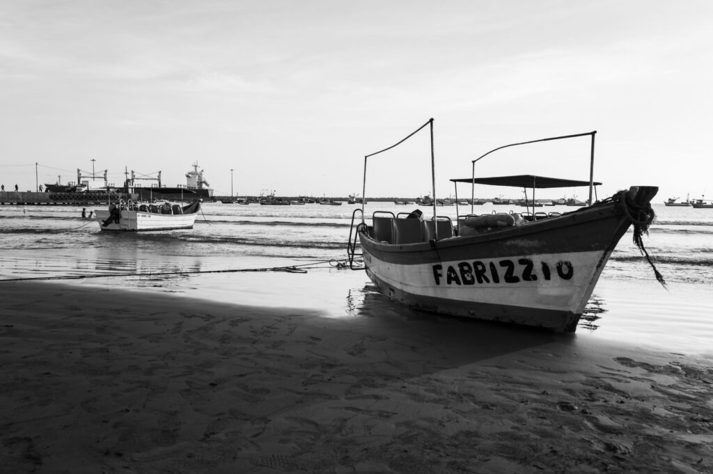 El Refugio del Tiburón Ballena en la Bahía de La Paz: Oceanografía, Migraciones y Conservación en el Mar de Cortés