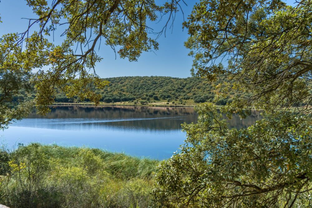 El laberinto de las lagunas de sal: cómo la movilidad eléctrica y las vías ciclistas transforman el transporte en la Reserva de la Biosfera de la Ría Formosa