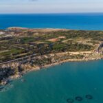 El latido de los bosques submarinos: cómo la restauración de praderas de posidonia y la pesca artesanal transforman la conservación en el Parque Natural del Cabo de Gata-Níjar