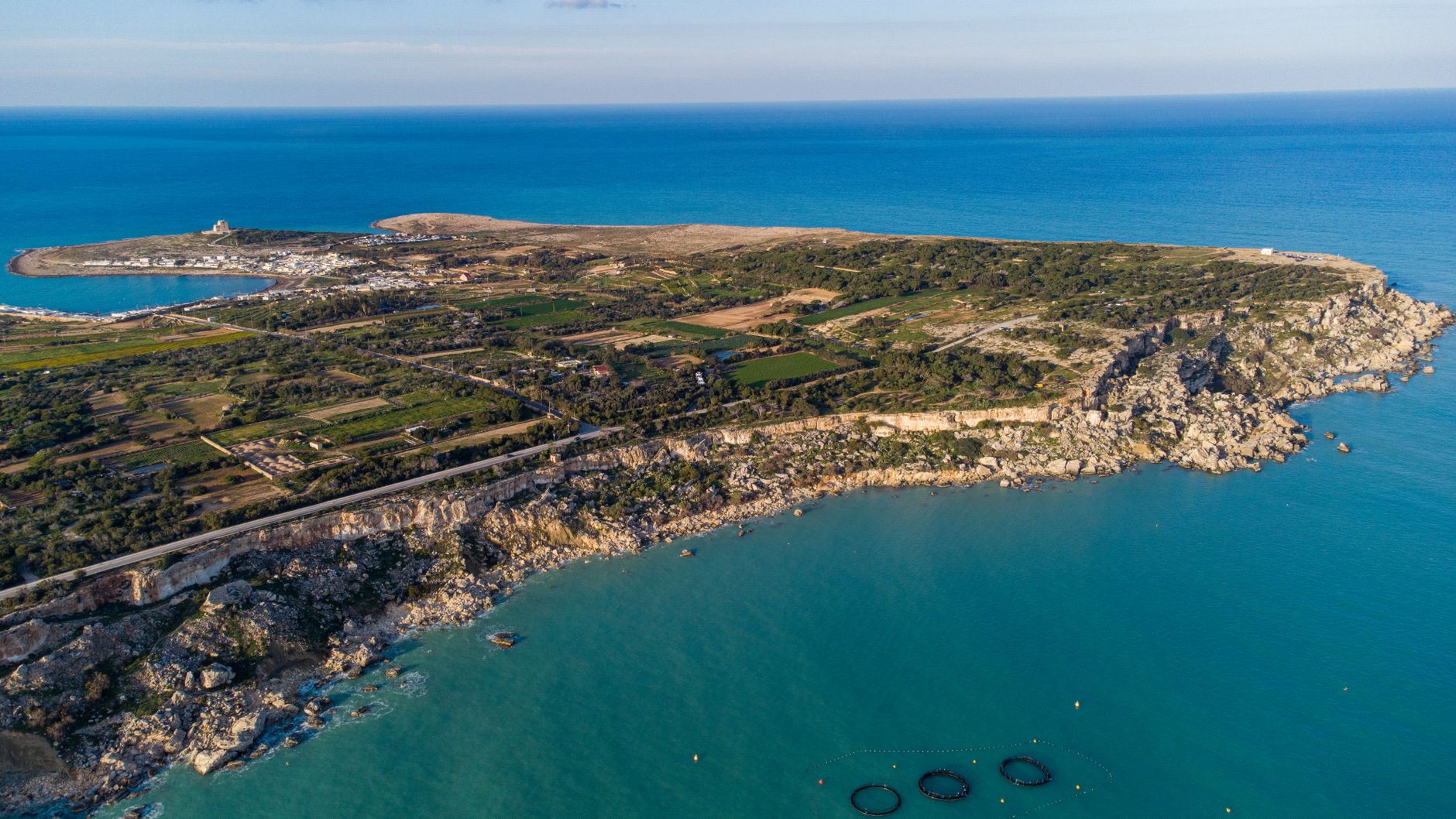 El latido de los bosques submarinos: cómo la restauración de praderas de posidonia y la pesca artesanal transforman la conservación en el Parque Natural del Cabo de Gata-Níjar