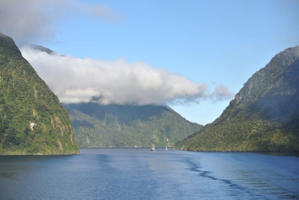 El laberinto de los fiordos de Milford Sound: Navegación de alta mar, ingeniería de túneles y la frágil conectividad de la costa oeste de Nueva Zelanda