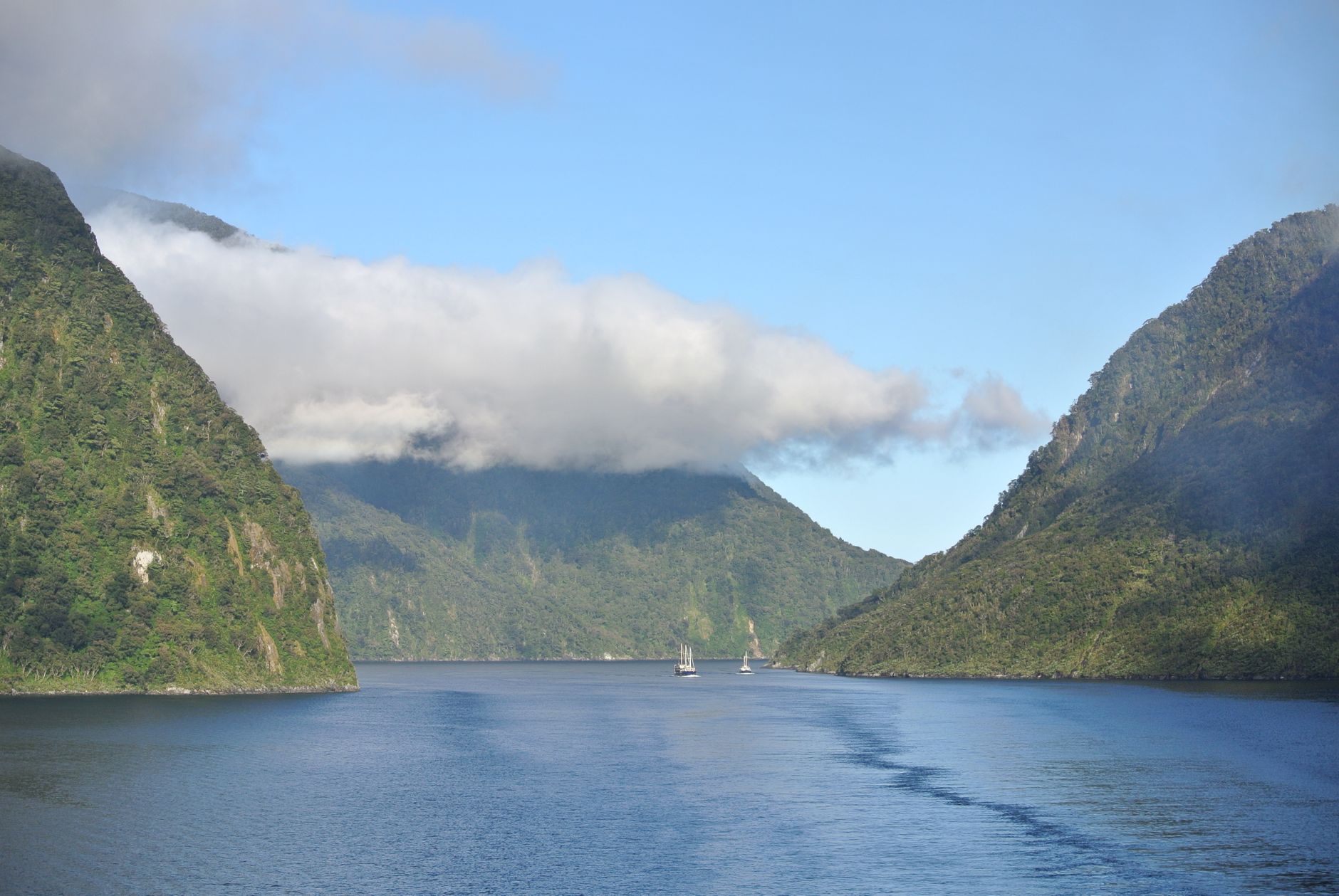 El laberinto de los fiordos de Milford Sound: Navegación de alta mar, ingeniería de túneles y la frágil conectividad de la costa oeste de Nueva Zelanda