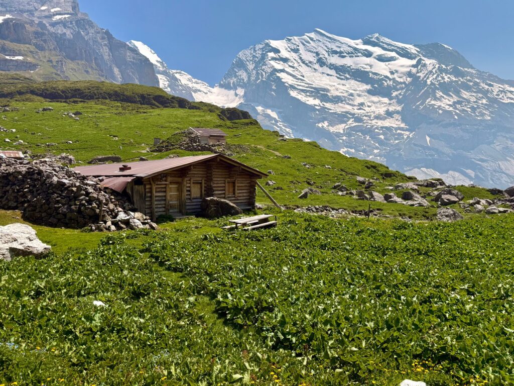 El laberinto de las tierras altas: cómo los trenes cremallera de alta montaña y los funiculares hidroneumáticos transforman el transporte en el Oberland Bernés