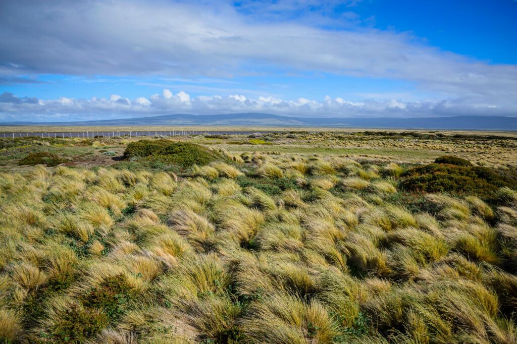 Expedición patagónica: el secreto costero que une la estepa y el mar en Comodoro Rivadavia y Rada Tilly