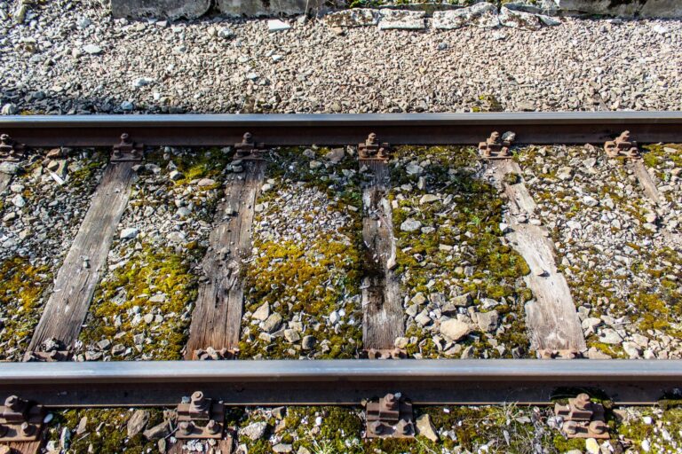 El laberinto de la trocha y la sabana: la odisea logística del tren de Benguela en el corazón de Angola