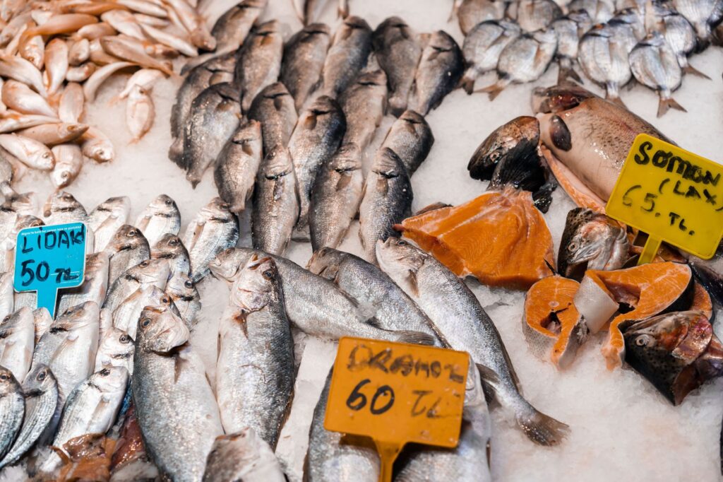El secreto del silicio y la marea: la liturgia del Mercado Central de Santander y los tesoros de la Marina