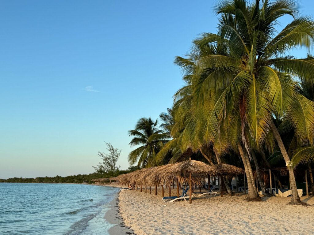El latido de los manglares costeros: cómo la restauración de canales y la pesca artesanal transforman la conservación en el Parque Nacional Ciénaga de Zapata