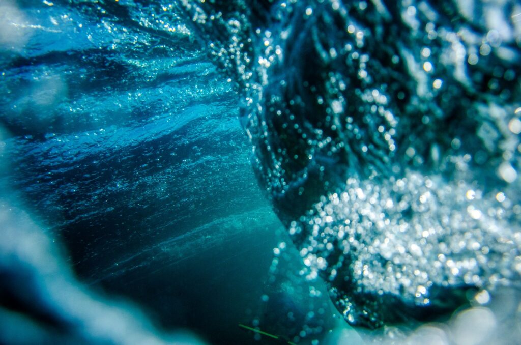 El refugio de los corales negros en el archipiélago de Revillagigedo: oceanografía profunda y conservación en los abismos del Pacífico mexicano