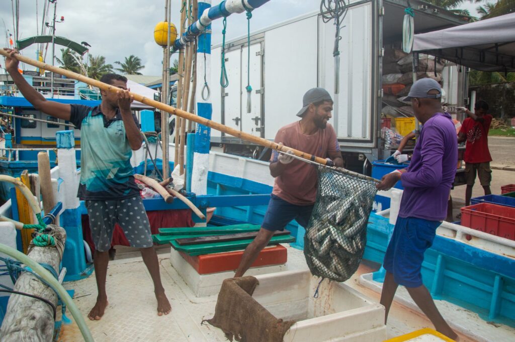 El laberinto intermodal del archipiélago de las islas de San Andrés: catamaranes de alta velocidad, pistas de arrecife y la frágil conectividad de un confín caribeño
