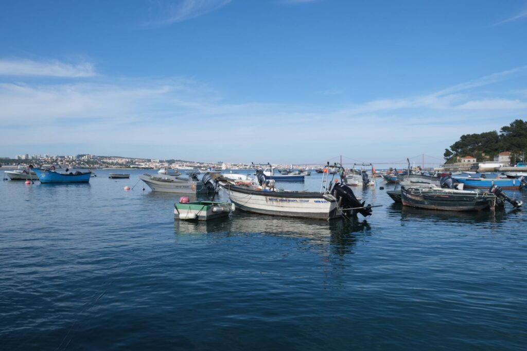 El latido meridional de la región de Setúbal: Puertos de estuario, transbordadores de marea y la conectividad anfibia del estuario del Sado