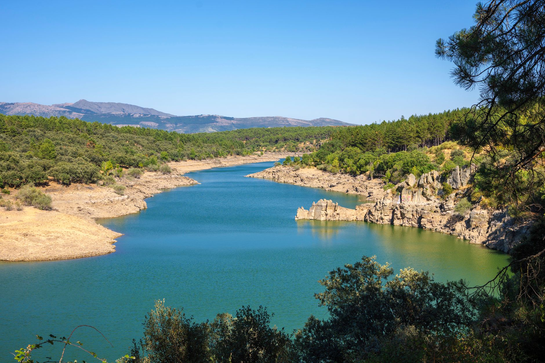 El laberinto de las turberas altas: cómo la movilidad comunitaria y el transporte de bajo impacto transforman el Parque Natural del Alto Tajo