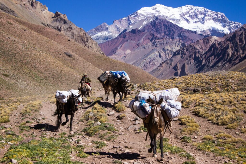 La Travesía del Circuito Huayhuash: Guía de Expedición y Senderismo de Alta Montaña por la Cordillera Andina del Perú