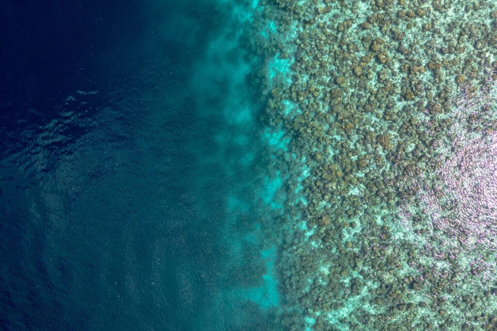 El laberinto aéreo de las islas de la Lealtad: la compleja logística de las pistas de coral y la aviación insular en el Pacífico Sur