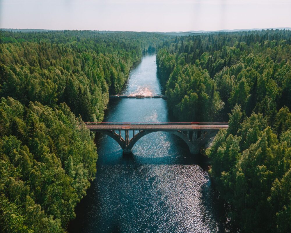 El laberinto de los bosques boreales: cómo el tren de baja emisión y la movilidad fluvial transforman el transporte en Laponia