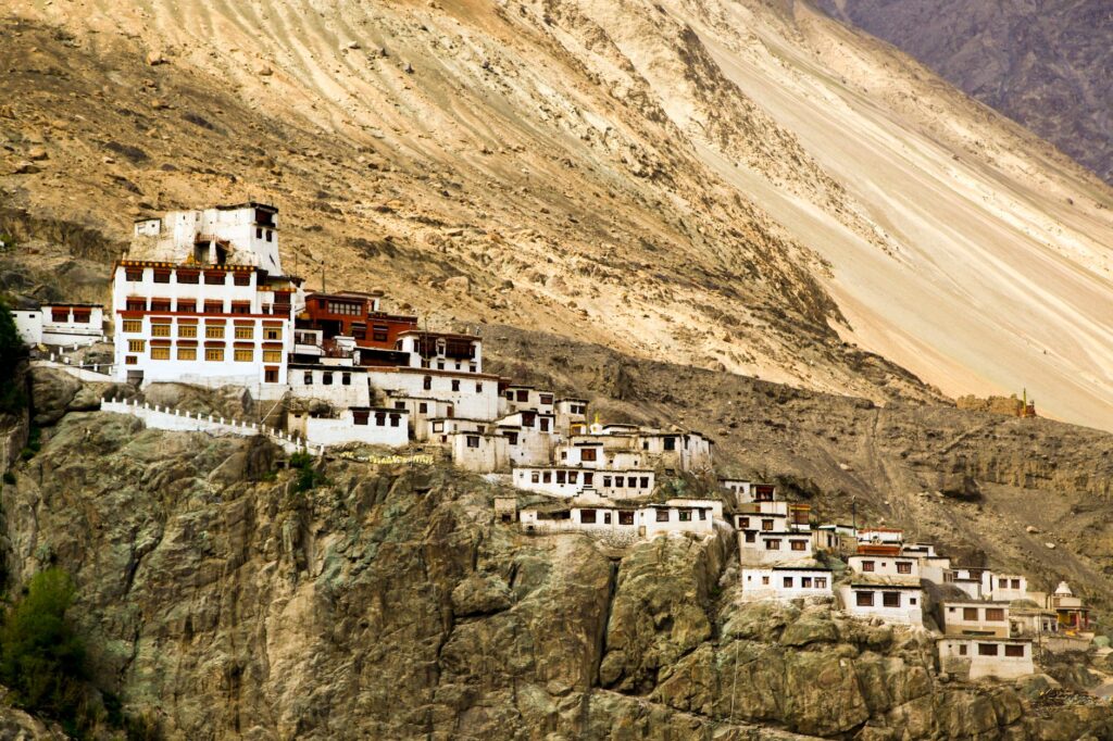 El Refugio del Leopardo de las Nieves en Ladakh: Biología, Climatología de Alta Montaña y Conservación en el Himalaya Indio